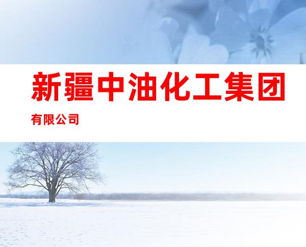 新疆中油化工集团有限公司